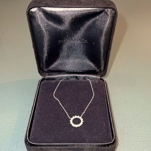 TIFFANY & CO platinum diamond circle of life necklace